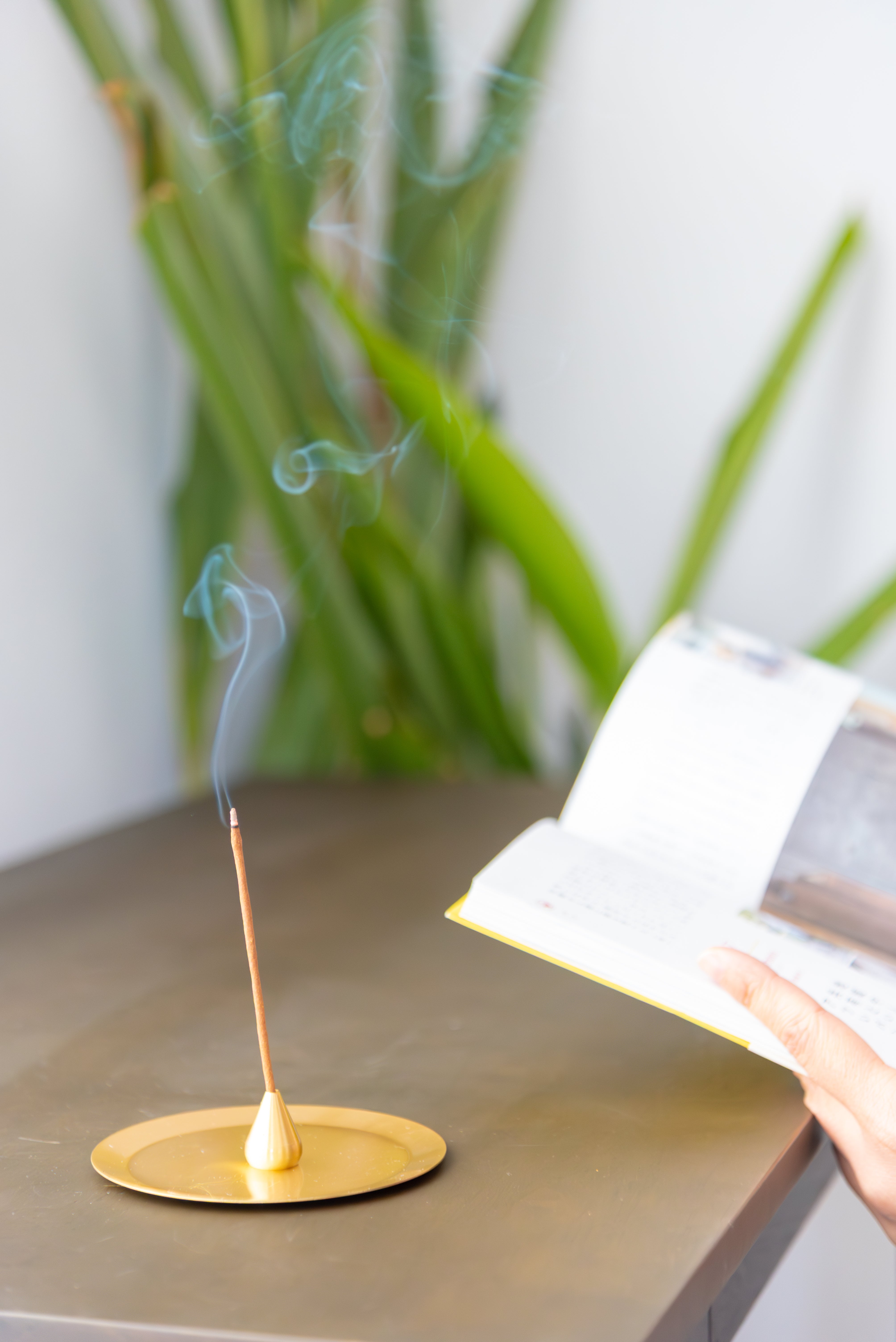 5391A5EE-496B-4461-A458-