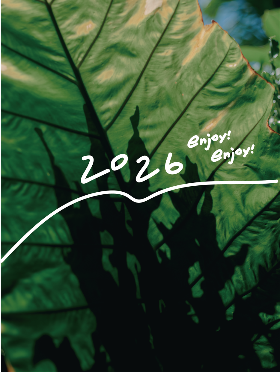 謹賀新年あけましておめでとうございます。